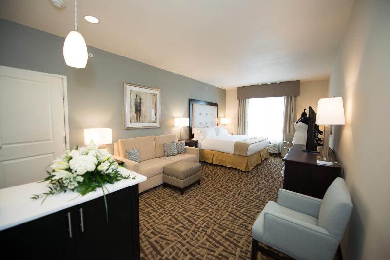 Holiday Inn Express & Suites Denver South - Castle Rock, an Ihg Hotel