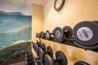Quality Inn Jonesville I-77 - Gym