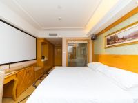 维也纳酒店(广州天河客运站店) - 智能浪漫大床房