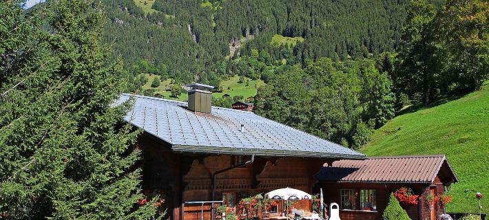 Chalet Marie Rosa Hotels in Grindelwald