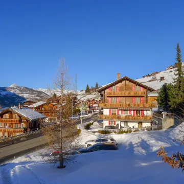 Bergfink Dachgeschoss