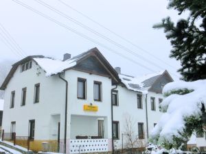 Wohnung Nähe Skigebietes Tannenbergsthal