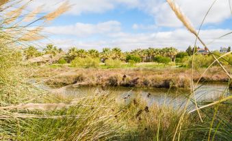 Campo de Golf Isla Canela