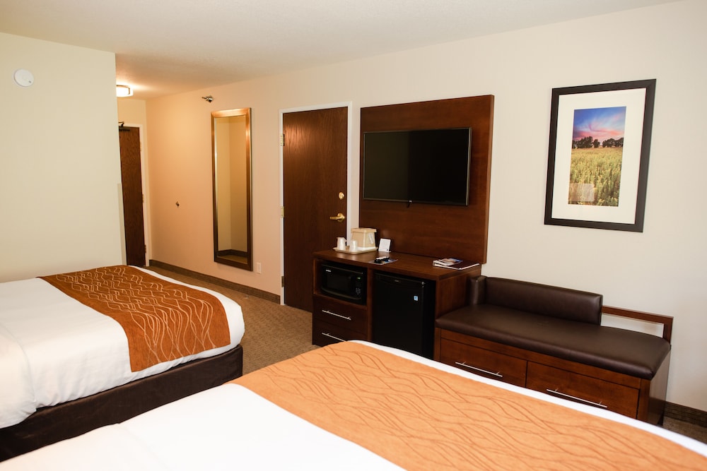 Comfort Inn and Suites Custer