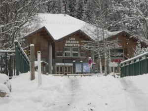 Appartement Cosy Proche des Grands Montets