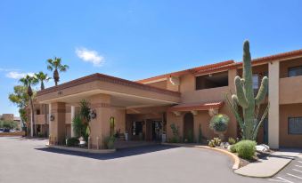 3 Palms Tucson North Foothills