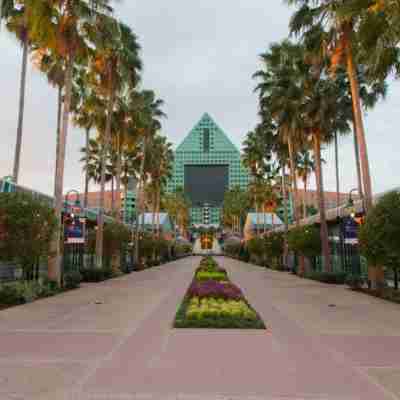 Walt Disney World Dolphin Hotel Exterior