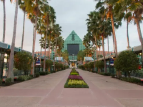 Walt Disney World Dolphin Hotels in Orange County