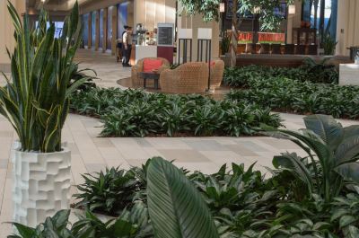 共有エリア ハイアット リージェンシー グランド サイプレス リゾートの写真