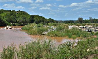 Bushriver Lodge