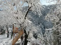 Alps Resort Dalhousie Hotels in Chamba