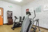 SpringHill Suites Turlock - Kuntosalit