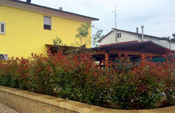 皮特巷住宿加早餐旅館