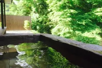 Hatago Sakura Hotels in Kokonoe