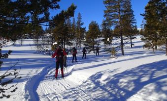 Rondane Friluftssenter Rondetunet