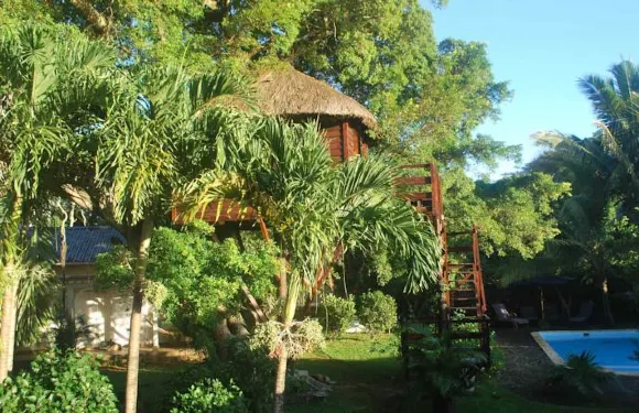 毛里求斯樹屋旅館