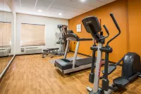 Comfort Inn & Suites Kenosha-Pleasant Prairie - Gym