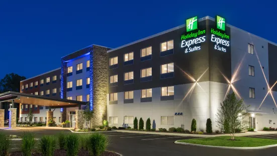 Holiday Inn Express & Suites Medina