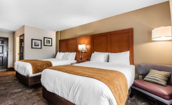 Comfort Inn & Suites Nashville Near Tanger Outlets