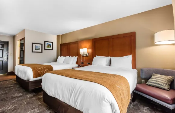 舒適酒店及套房納什維爾 靠近Tanger Outlets I-24 安提阿克