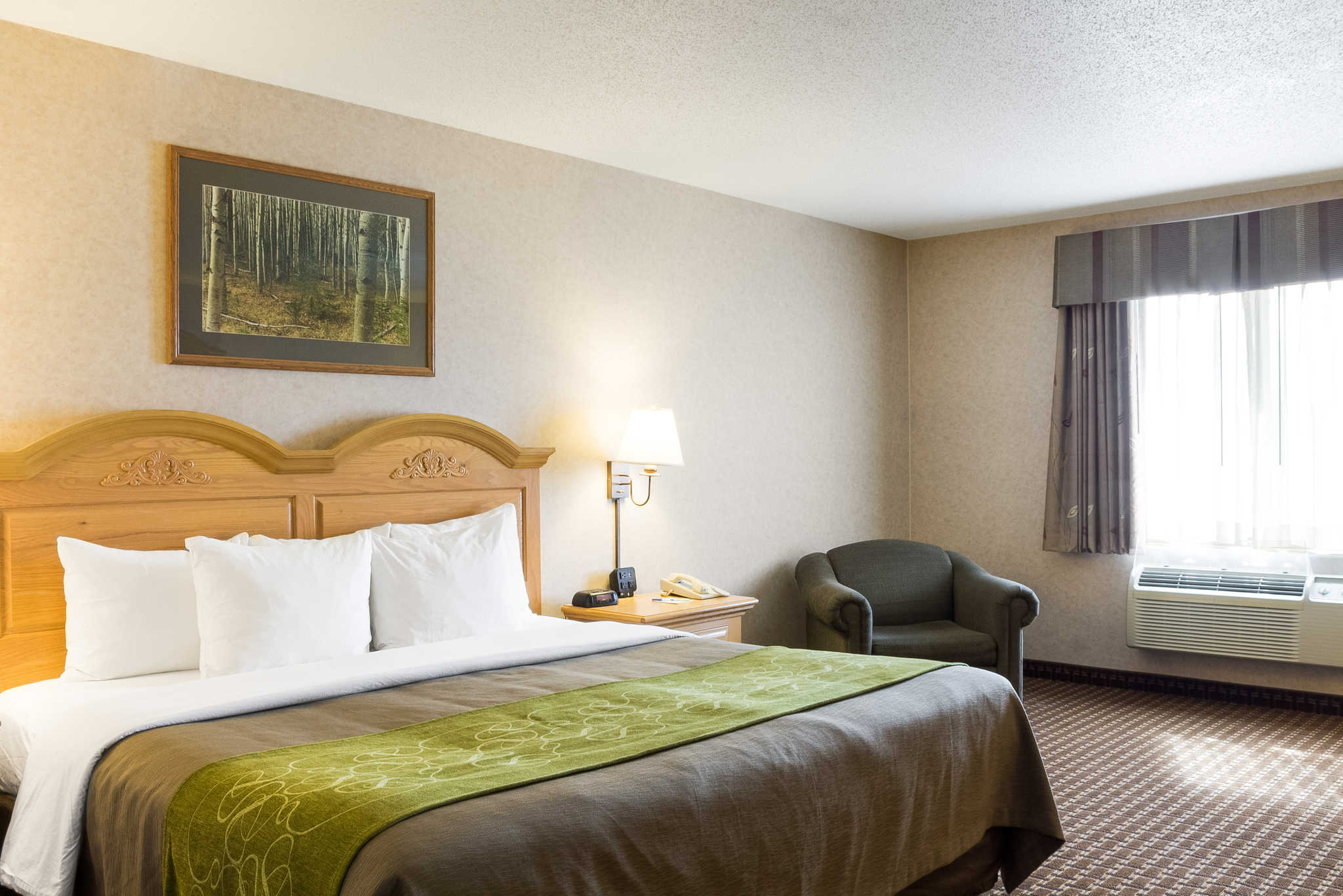 Comfort Inn and Suites Custer