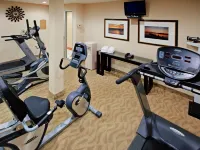 Holiday Inn MANHATTAN 6TH AVE - CHELSEA by IHG - Gym