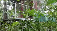 The Green Tree Lodge