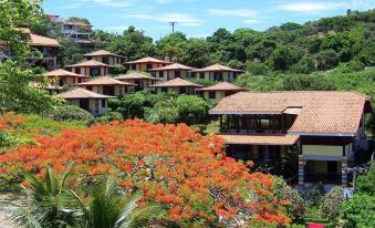 Hibiscus Beach