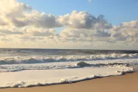 The Tower Cottage Bed and Breakfast Hotels in Point Pleasant Beach