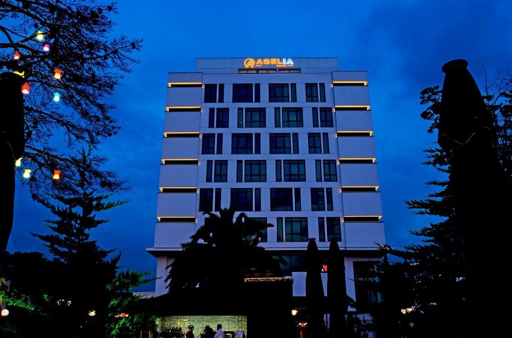 Aselia Hotel Trabzon