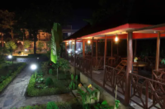 Jungle Safari Lodge- Serenity in the Wild