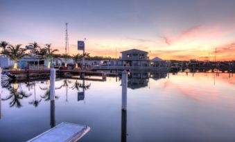 Mangrove Marina and Resort Aqualodge Houseboats