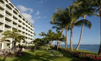 Lahaina Shores