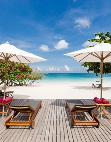 รูปภาพของปารดี