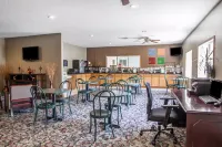 Comfort Inn Muscatine Near Hwy 61 Hotels in Muscatine