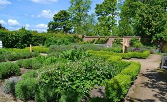 a lush green garden with various plants and trees , as well as a path leading through the area at Bartholomew Arms