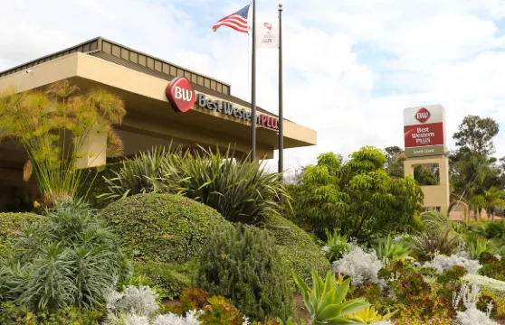 南海岸貝斯特韋斯特優質酒店