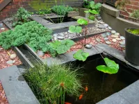 Clarendon Square - Homestays