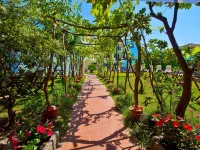 Hotel Ariadimari Hotels in Badesi
