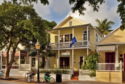 Tropical Inn - Bed and Breakfasts