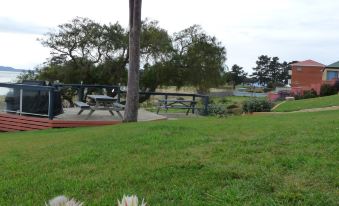 a grassy field with a picnic table and chairs set up in the middle , surrounded by trees and bushes at Swansea Motor Inn Tasmania
