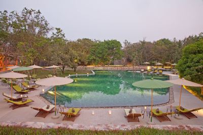 屋外プール テンプレーション ホテルの写真