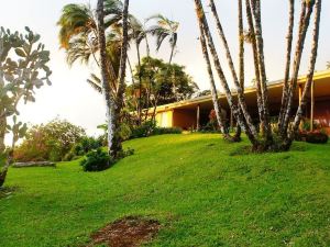 Establo Arenal Lodge