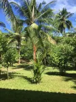 Good Vibes Villas Hotels in Pilana
