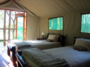 Mtomeni Safari Camp