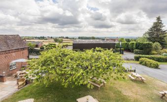 a large tree with a clock on its trunk is surrounded by a grassy area , wooden benches , and a building in the background at The Rodney