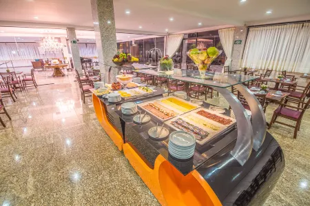 Hotel Nacional Inn São Carlos & Convenções Отели в г. Сан-Карлус