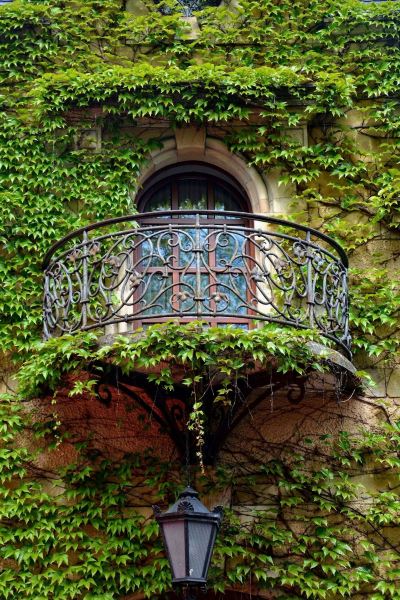 その他 ザメク クリチュクフ セントラム コンフェレンツィーノ ヴィポチェンコヴェの写真