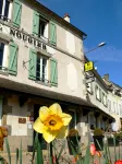 Logis Hotel Restaurant Nougier