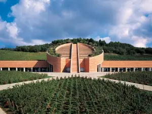 L'Andana Tenuta la Badiola